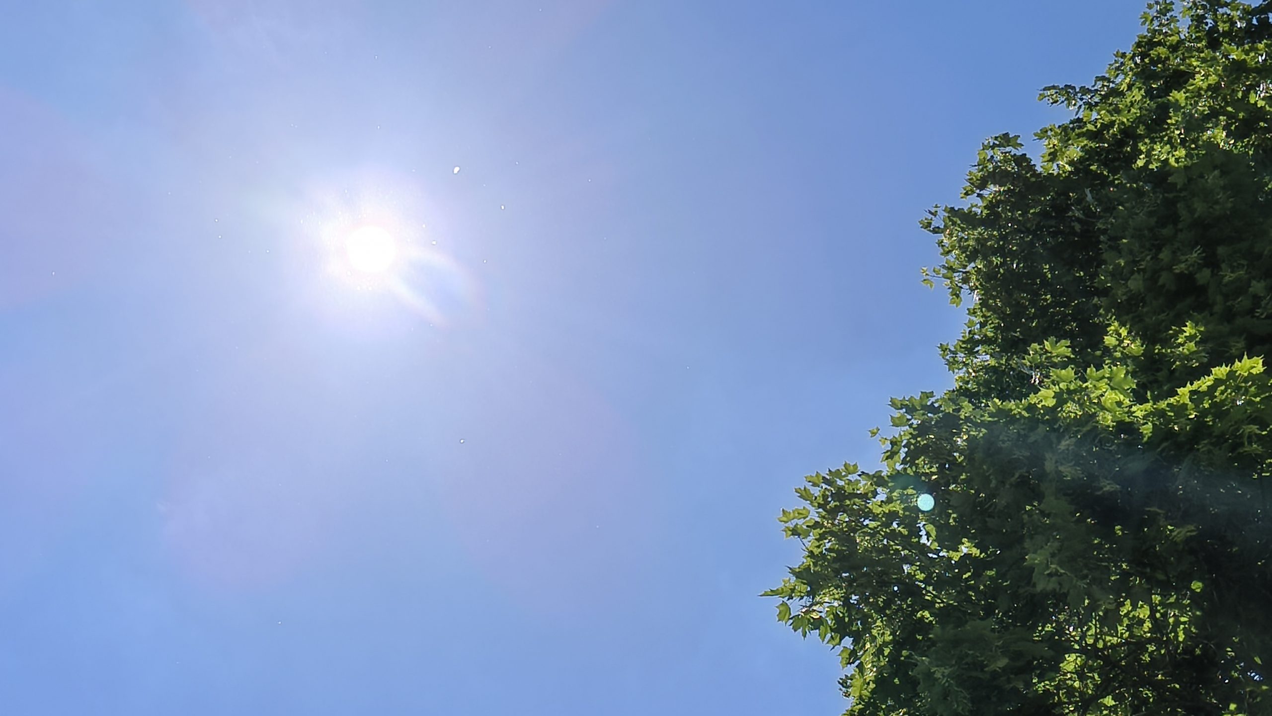 Aufruf: Wir brauchen Sonnenschirme, Pavillons und Planschbecken ☀️🔥